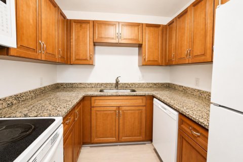 Appartement à louer à Lighthouse Point, Floride: 1 chambre, 1778.52 m2 № 2177423 - photo 13