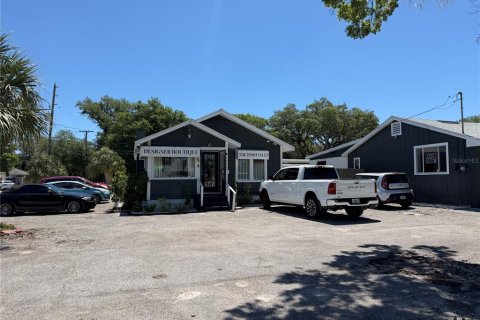 Commercial property in Clearwater, Florida 314.47 sq.m. № 2195505
