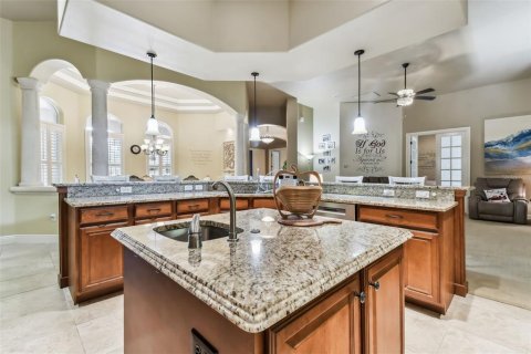 House in Fish Hawk, Florida 6 bedrooms, 434.23 sq.m. № 2212713 - photo 20