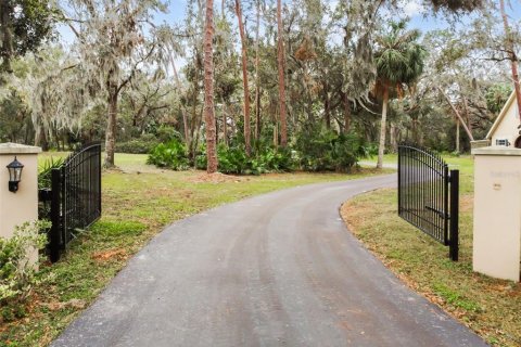 House in Fish Hawk, Florida 6 bedrooms, 434.23 sq.m. № 2212713 - photo 2