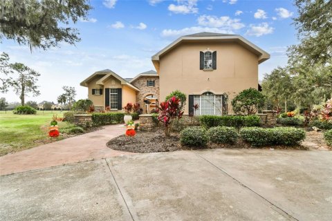 House in Fish Hawk, Florida 6 bedrooms, 434.23 sq.m. № 2212713 - photo 3
