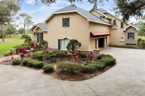 House in Fish Hawk, Florida 6 bedrooms, 434.23 sq.m. № 2212713 - photo 5
