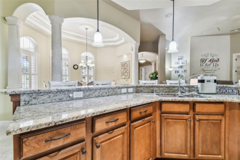 House in Fish Hawk, Florida 6 bedrooms, 434.23 sq.m. № 2212713 - photo 24