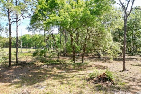 Terrain à vendre à Sumter, Floride № 1519561 - photo 20