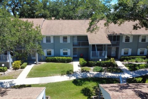 Condo à Dunedin, Floride, 2 chambres  № 2217851