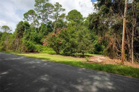 Terrain à vendre à Middleburg, Floride № 1837086 - photo 8