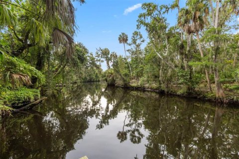 Casa en venta en Riverview, Florida, 4 dormitorios, 185.8 m2 № 2215647 - foto 6