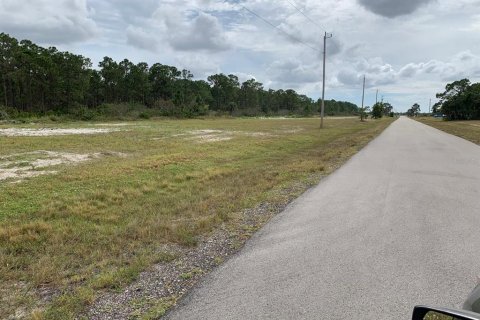 Land in Cape Coral, Florida № 1761926 - photo 2
