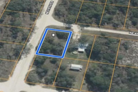 Land in Williston, Florida № 2165412 - photo 3