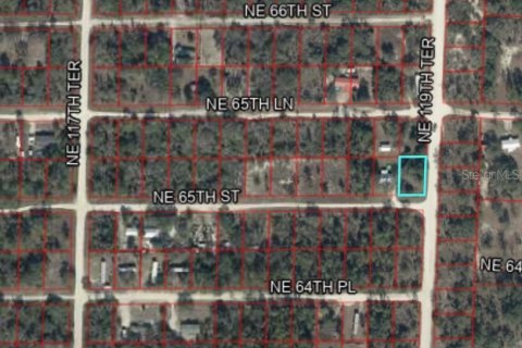 Land in Williston, Florida № 2165412 - photo 5