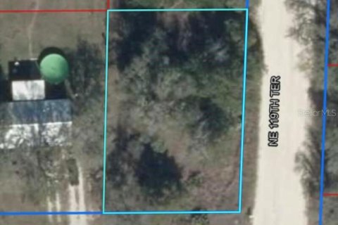 Land in Williston, Florida № 2165412 - photo 6