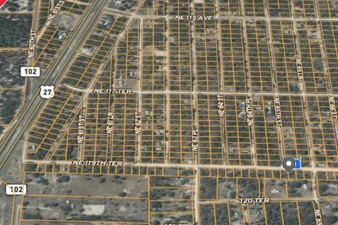 Land in Williston, Florida № 2165412 - photo 4