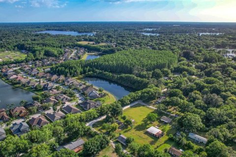 Terreno en venta en Odessa, Florida № 1163492 - foto 17