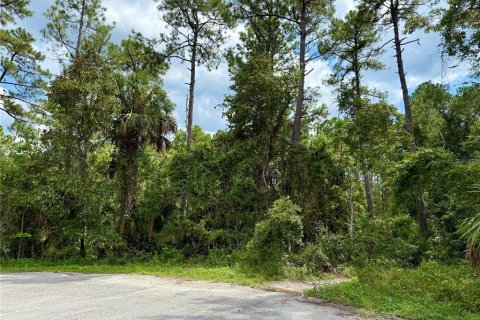 Terreno en venta en Eustis, Florida № 1916713 - foto 3