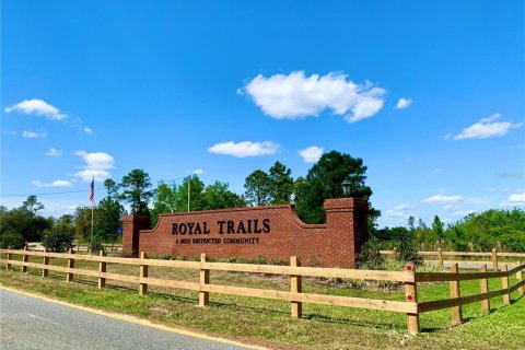 Terreno en venta en Eustis, Florida № 1916713 - foto 20