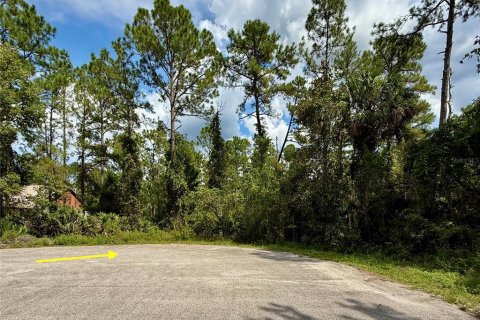 Terreno en venta en Eustis, Florida № 1916713 - foto 7