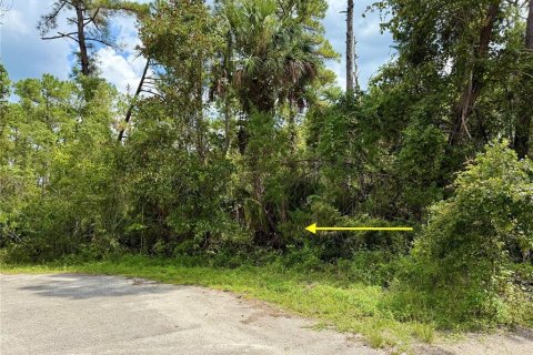 Terreno en venta en Eustis, Florida № 1916713 - foto 6