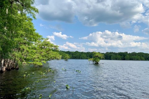 Terreno en venta en Eustis, Florida № 1916713 - foto 29