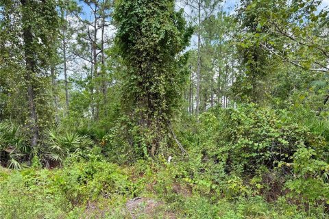 Terreno en venta en Eustis, Florida № 1916713 - foto 12