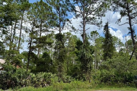 Terreno en venta en Eustis, Florida № 1916713 - foto 4