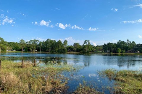 Terreno en venta en Eustis, Florida № 1916713 - foto 25