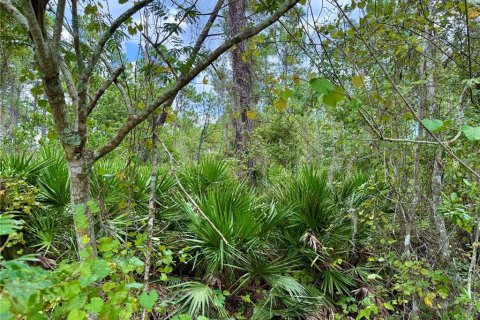 Terreno en venta en Eustis, Florida № 1916713 - foto 14