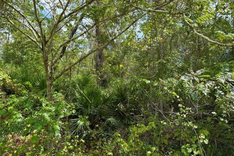 Terreno en venta en Eustis, Florida № 1916713 - foto 16