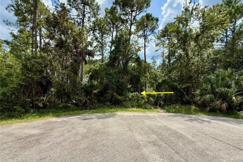 Terreno en venta en Eustis, Florida № 1916713 - foto 9