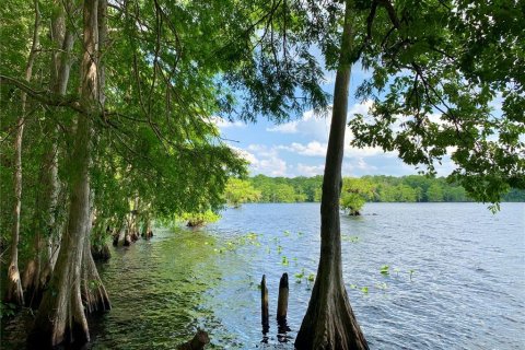 Terreno en venta en Eustis, Florida № 1916713 - foto 28