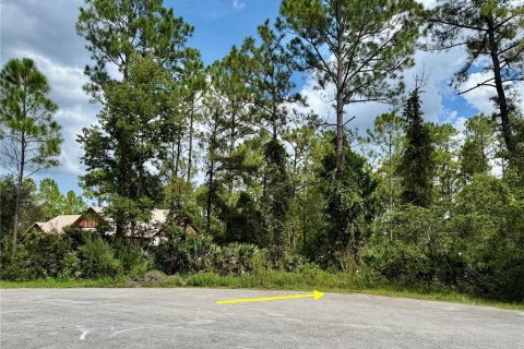 Terreno en venta en Eustis, Florida № 1916713 - foto 2