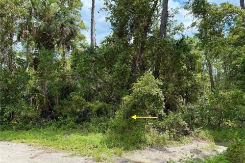 Terreno en venta en Eustis, Florida № 1916713 - foto 5
