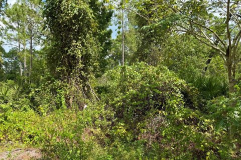 Terreno en venta en Eustis, Florida № 1916713 - foto 15