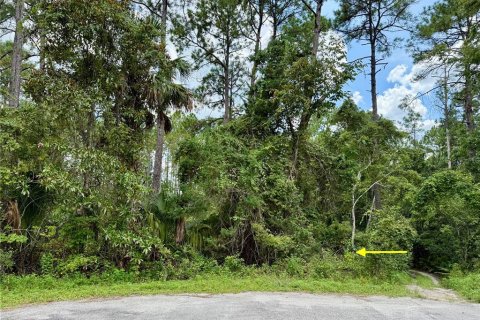 Terreno en venta en Eustis, Florida № 1916713 - foto 17