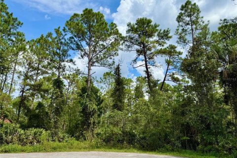 Terreno en venta en Eustis, Florida № 1916713 - foto 1