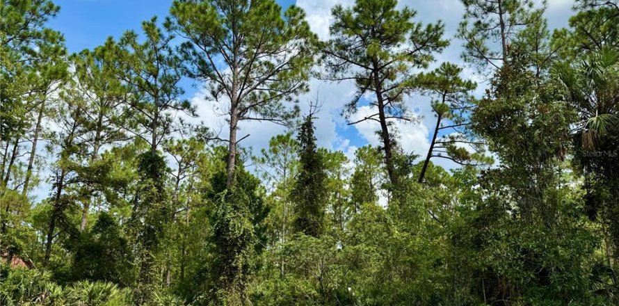 Terrain à Eustis, Floride № 1916713