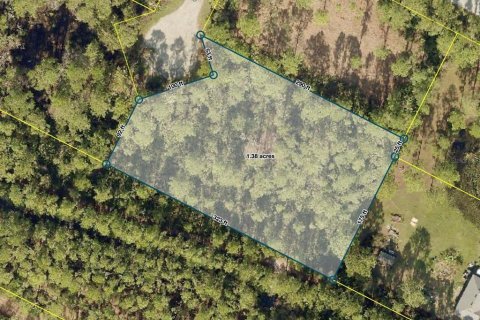 Terreno en venta en Eustis, Florida № 1916713 - foto 18