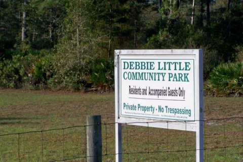 Terreno en venta en Eustis, Florida № 1916713 - foto 21