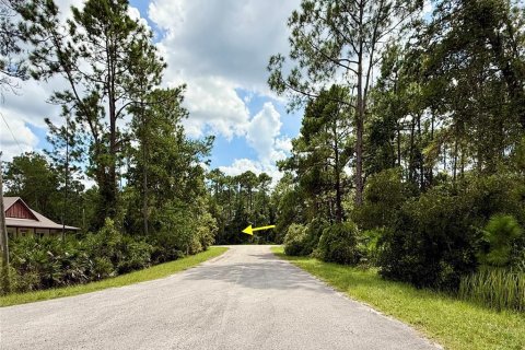 Terreno en venta en Eustis, Florida № 1916713 - foto 10