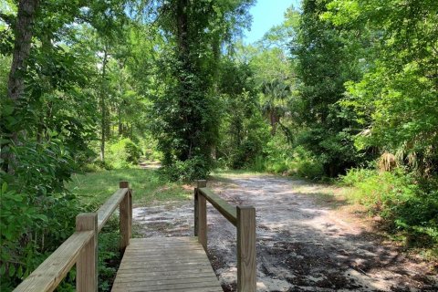 Terreno en venta en Eustis, Florida № 1916713 - foto 27