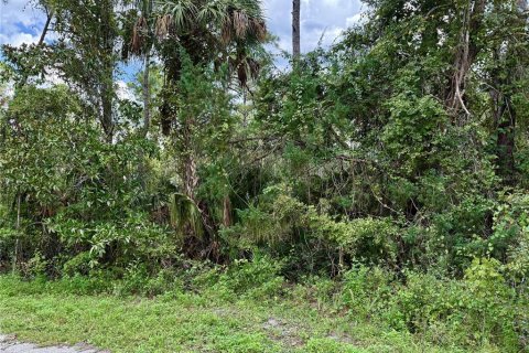 Terreno en venta en Eustis, Florida № 1916713 - foto 11