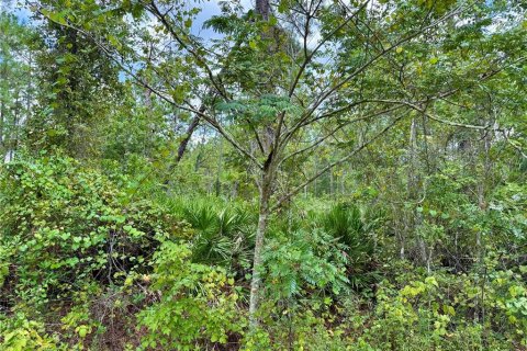 Terreno en venta en Eustis, Florida № 1916713 - foto 13