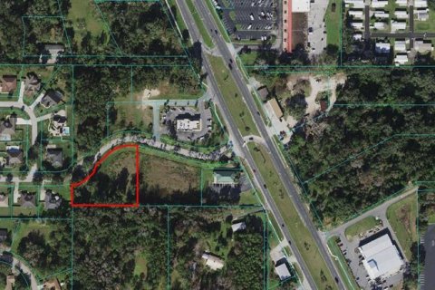 Land in Belleview, Florida № 215243 - photo 1