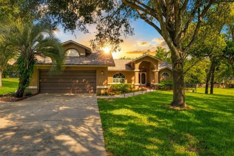 Casa en Weeki Wachee, Florida 3 dormitorios, 168.43 m2 № 2349810