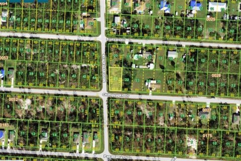 Land in Punta Gorda, Florida № 2223927 - photo 2