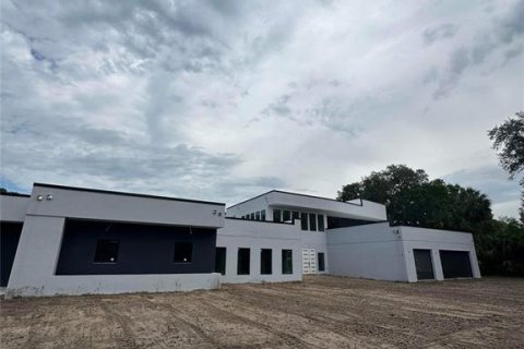 Villa ou maison à vendre à Lutz, Floride: 6 chambres, 803.05 m2 № 1765063 - photo 2