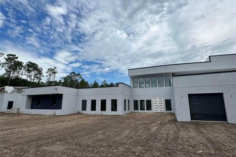 Villa ou maison à vendre à Lutz, Floride: 6 chambres, 803.05 m2 № 1765063 - photo 1
