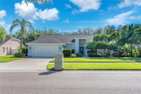 Casa en Valrico, Florida 4 dormitorios, 242.29 m2 № 2387402