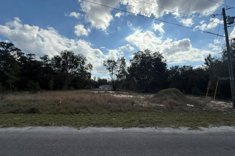 Terrain à Ocklawaha, Floride № 2236612