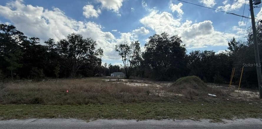 Terrain à Ocklawaha, Floride № 2236612