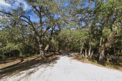 Land in Hawthorne, Florida № 1875922 - photo 2
